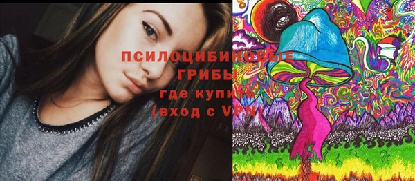 ГАЛЛЮЦИНОГЕННЫЕ ГРИБЫ Каменногорск
