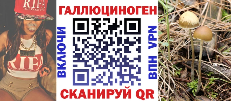 Купить  Сельцо  Галлюциногенные грибы Cubensis 